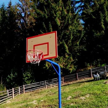 Активний відпочинок у Карпатах - баскетбол