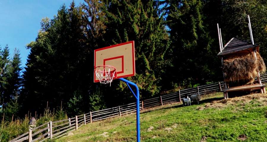 Activities in the Carpathians - Basketball