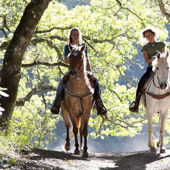 Active leisure in the Carpathians - horse riding