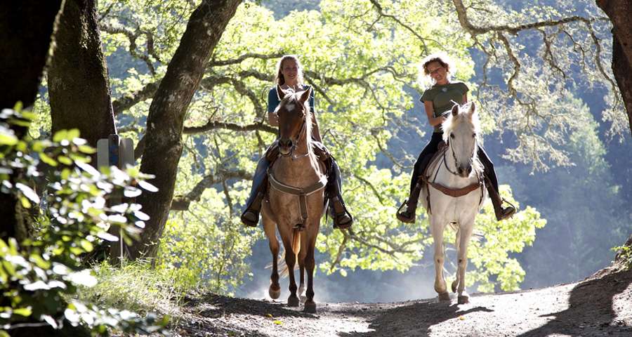 Active leisure in the Carpathians - horse riding