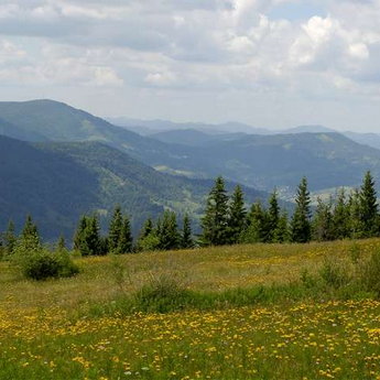 Summer rest in Carpathians in 2019