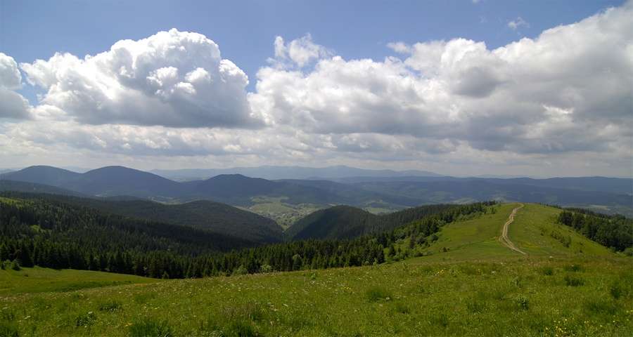 Carpathian summer, Slavs'ke 2019