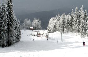 спуски на лижах і сноубордах карпати славське