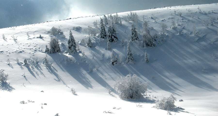 Snowy winter Carpathians