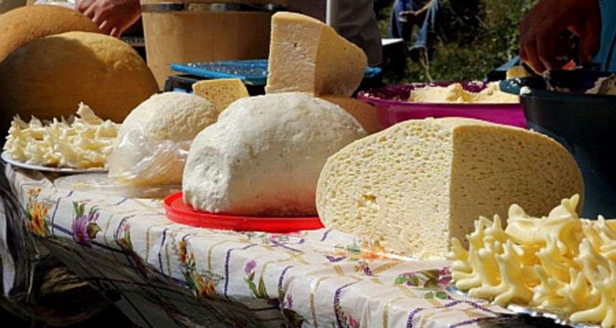 Festival of cheese in Rahov 