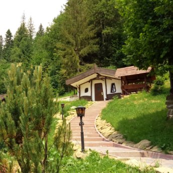 Hut by the forest in the Carpathians - Transcarpathia, eco-rest in Ukraine