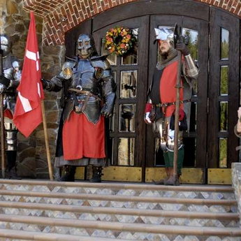 Medieval knights, Vezha Vedmezha