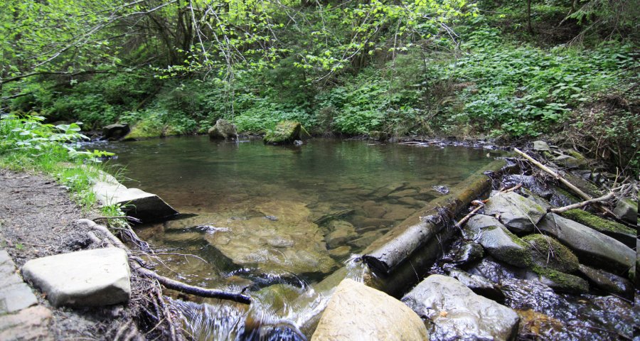 Pure Carpathian spring water