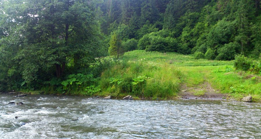 River Slavka in summer