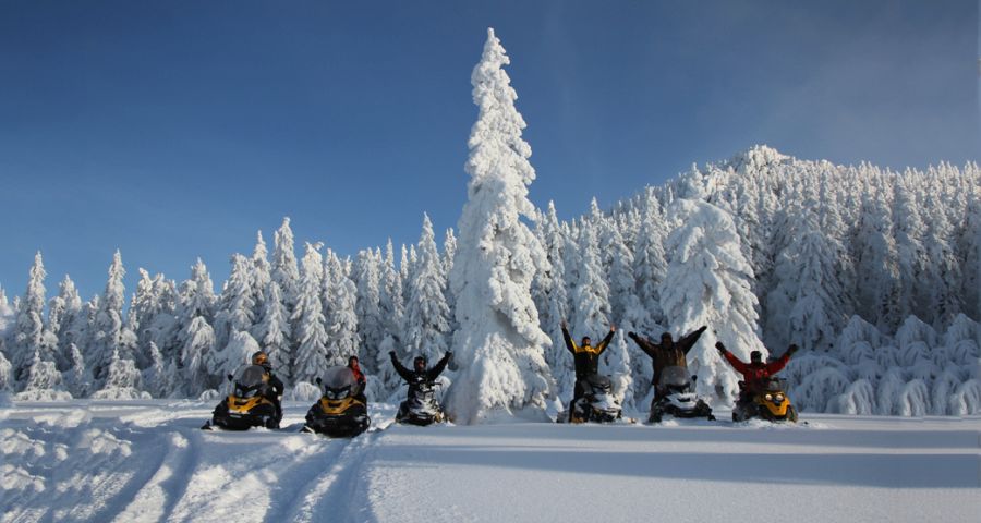 Travel snowmobiling in the Carpathians