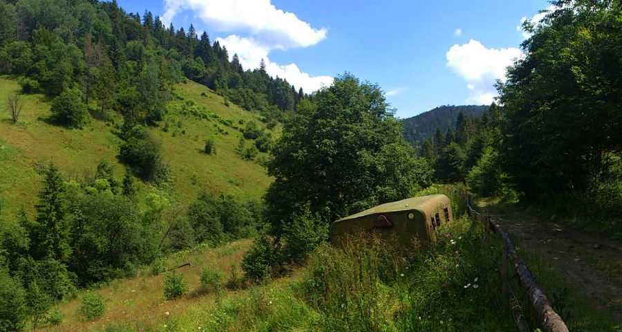 Bear footpath, trident in the Carpathians