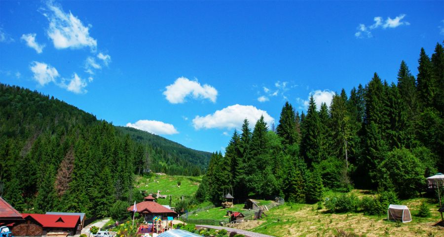 Wedding in the Carpathians - the view from the balcony at Vezha Vedmezha