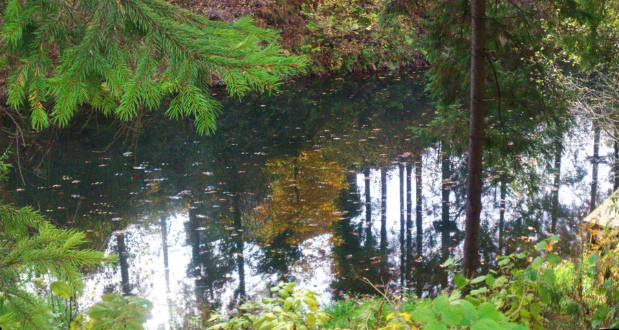 Біля озерця у Волосянці поблизу готелю Вежа Ведмежа. Миті осені