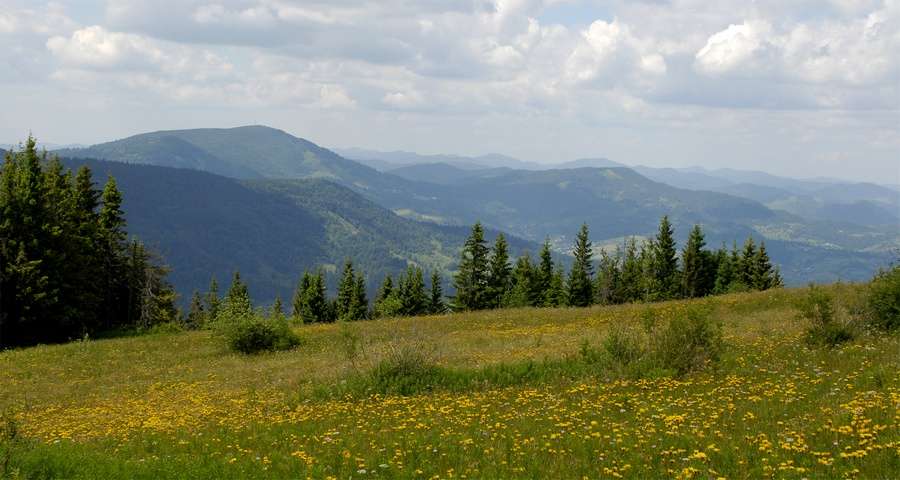 Summer rest in Carpathians in 2019