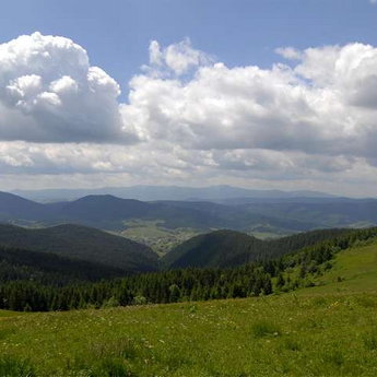 Carpathian summer, Slavs'ke 2019