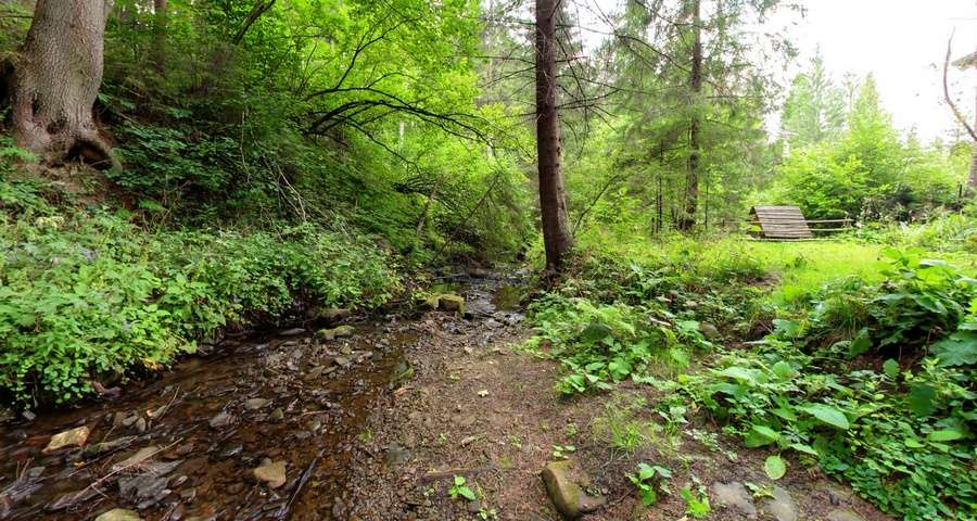 Carpathian stream in summer in rope park of Vezha Vedmezha