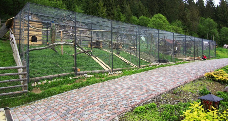 Mini-Farm in Vezha Vedmezha Hotel, Carpathians
