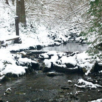 Горный ручей в Карпатском лесу зимой