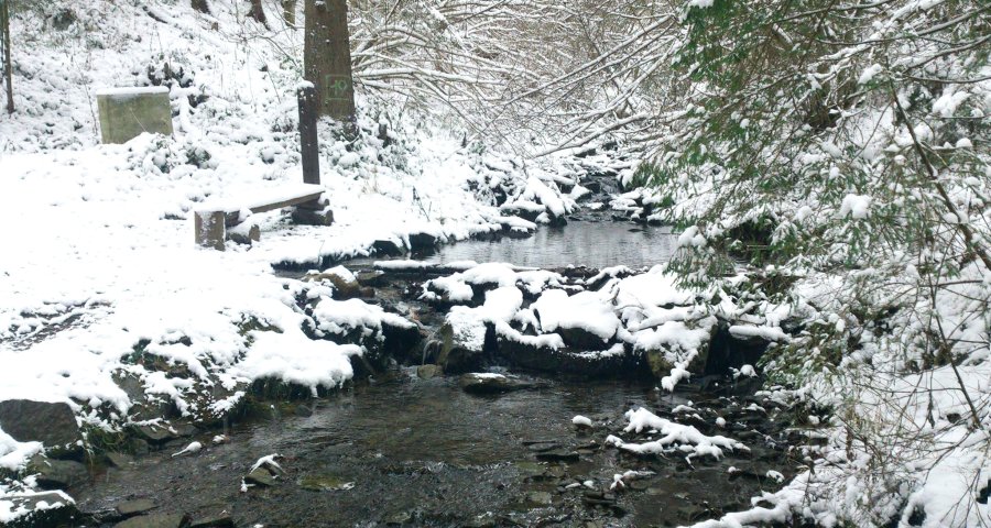 Горный ручей в Карпатском лесу зимой
