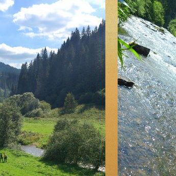 Slavka River in the village Volosyanka in summer