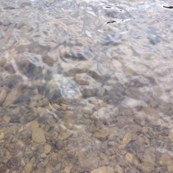 Clean water of the mountain river Slavka (Carpathians)