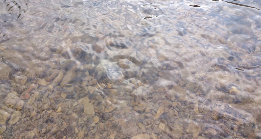 Clean water of the mountain river Slavka (Carpathians)