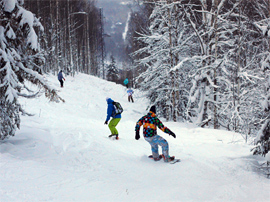 Mountain skis, snowboarding, sledges